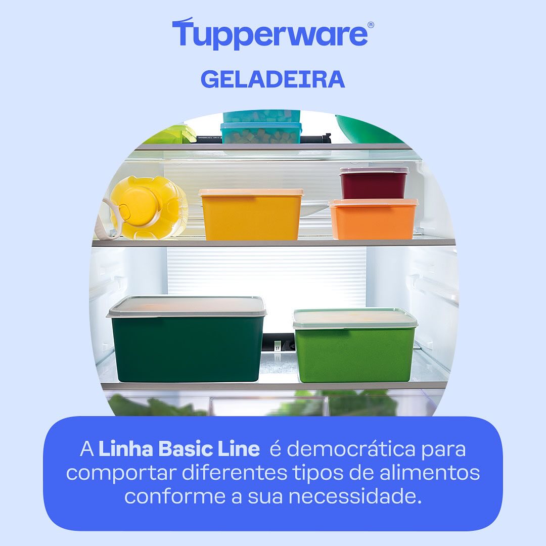 Pote Hermético Basic Line Tupperware 160ml Bordô